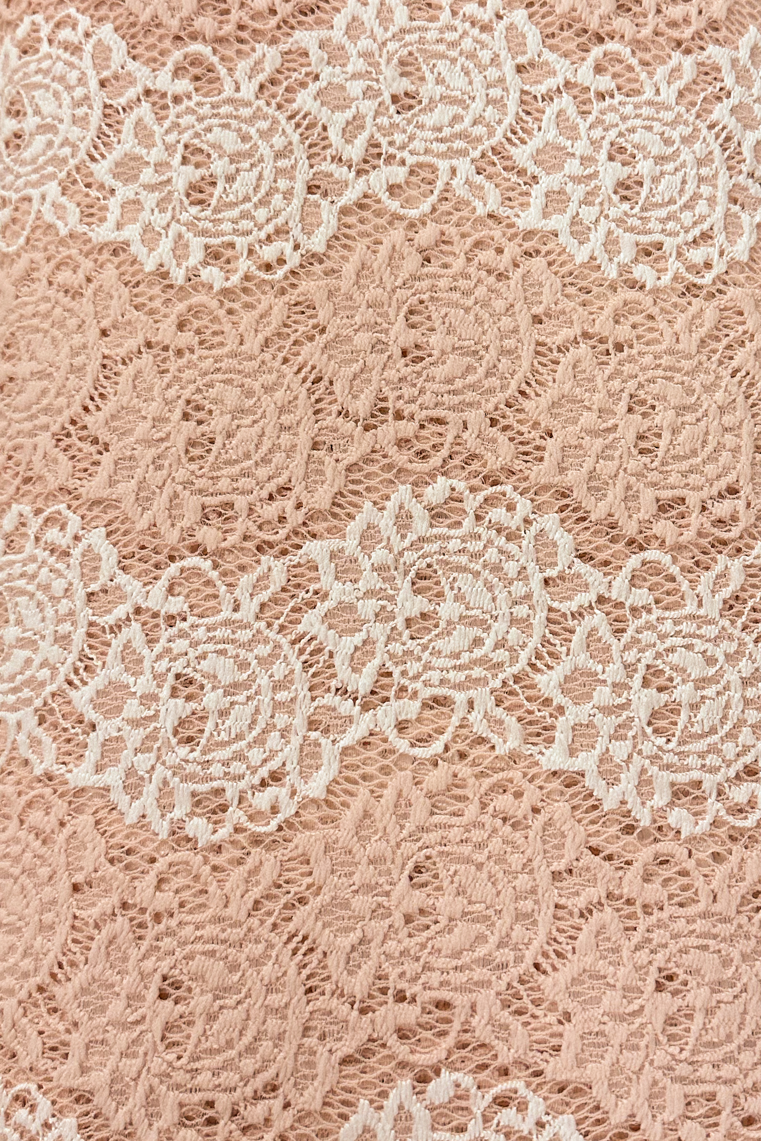 Blush and White Floral All Over Stretch Lace Fabric