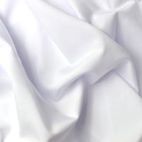 White Stretch Spandex Fabric